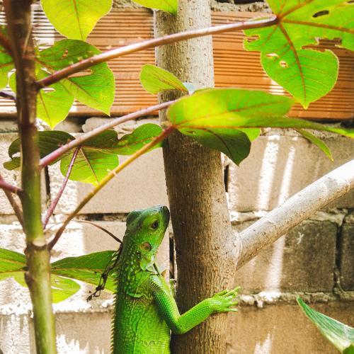 Photo #4990058