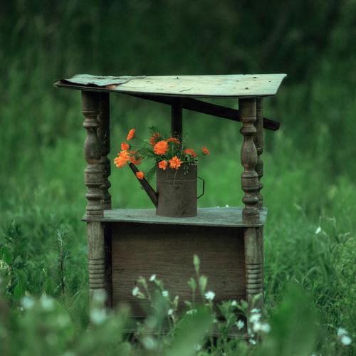 Photo #4990432