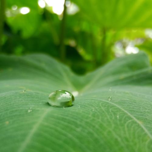 Beauty of nature