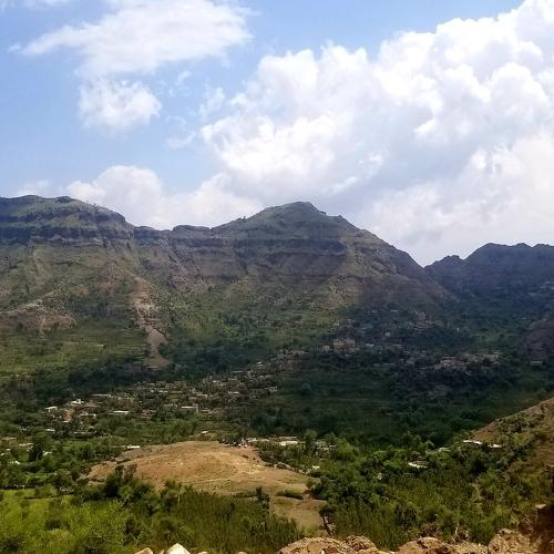 Taiz Al-Halima