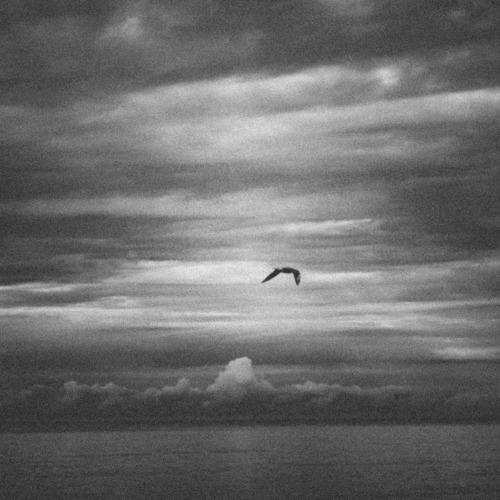Photo #4991460