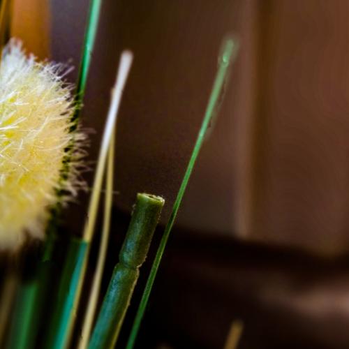 Photo #4991494