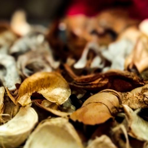 Photo #4991506