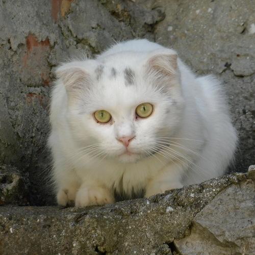 Photo #4991552
