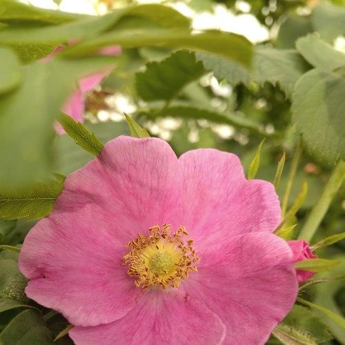 Photo #4991920