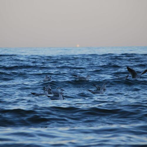 Photo #4992222