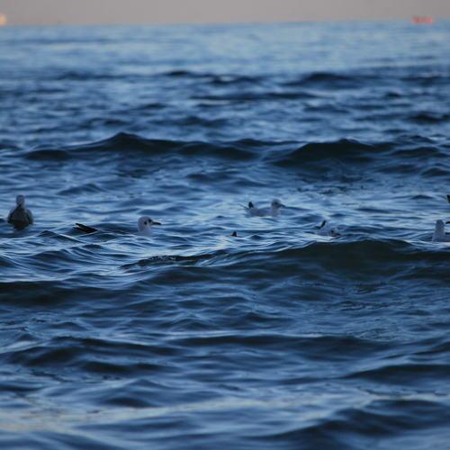 Photo #4992235