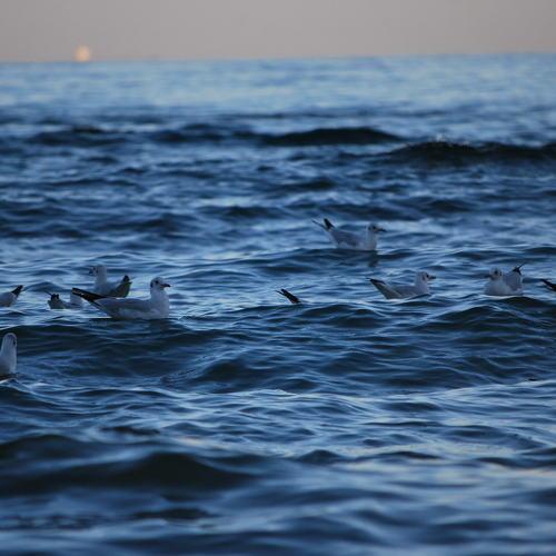 Photo #4992239