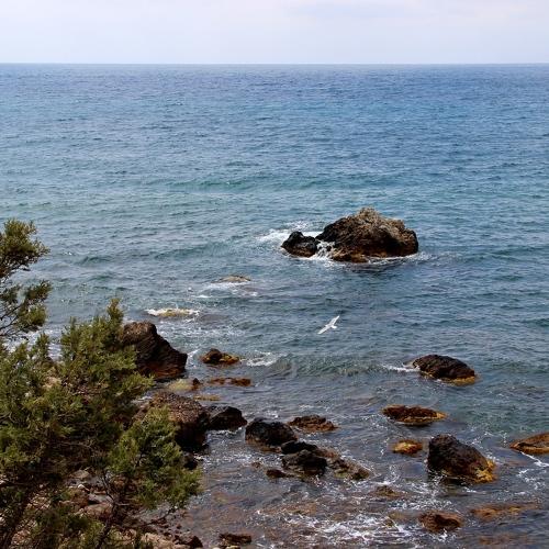 Photo #4992335
