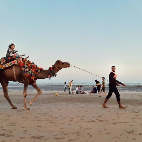 Photo #4992488
