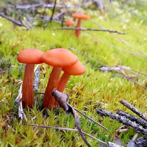 Photo #4992699