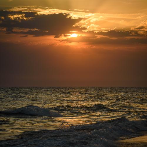 Photo #4992931