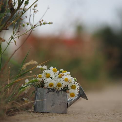 Photo #4993398