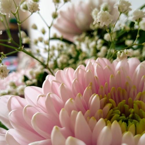 Photo #4993550