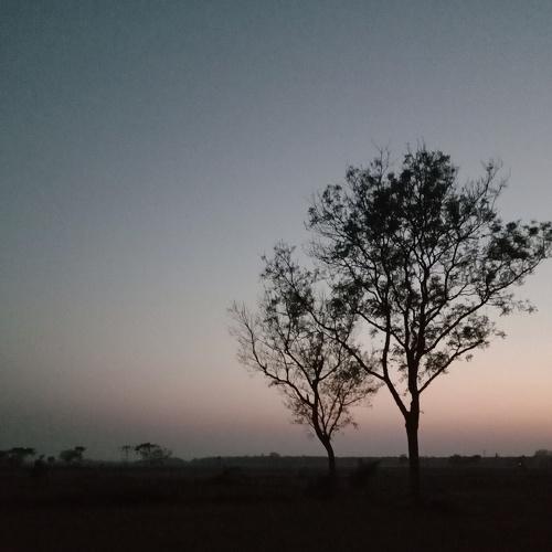 Beauty of nature