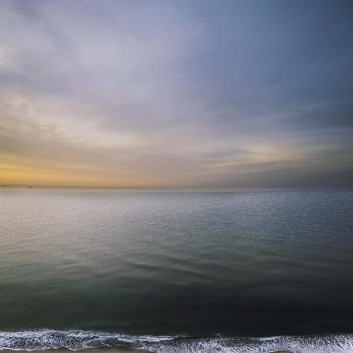 Photo #4993756