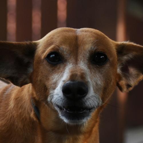 Photo #4993799