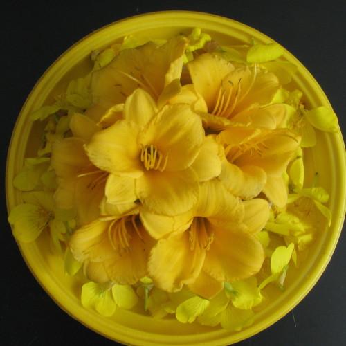 Photo #4993989