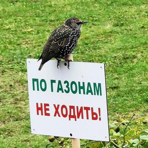 Фотография #4994047