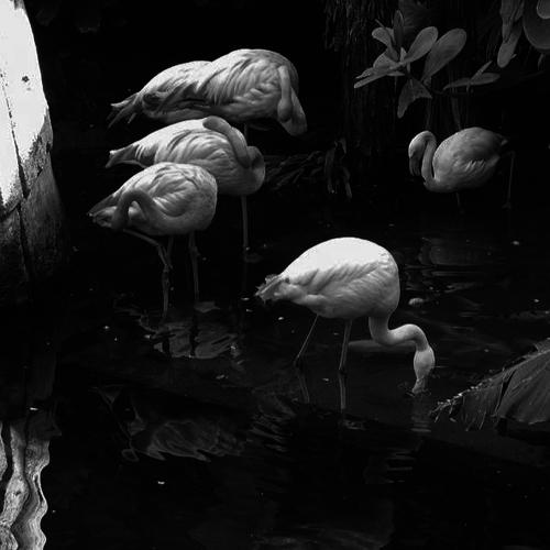 Photo #4994143
