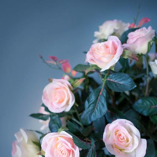 Photo #4994218