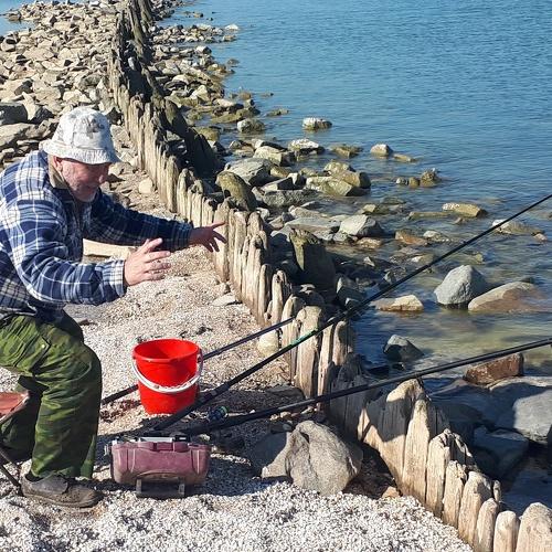 Photo #4994392