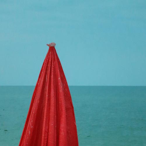 Photo #4995564