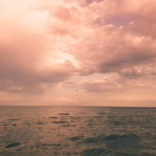 Photo #4995567