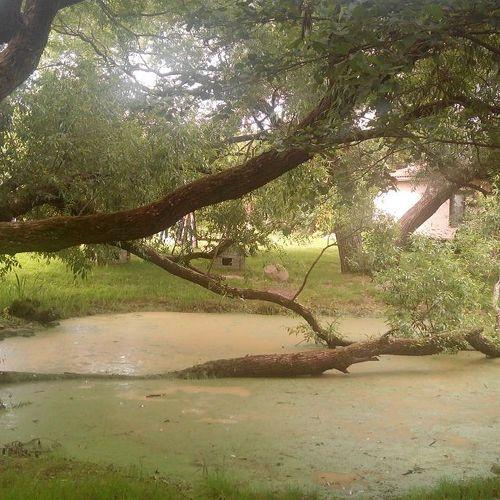 Photo #4996210