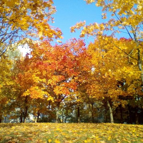 Photo #4996214