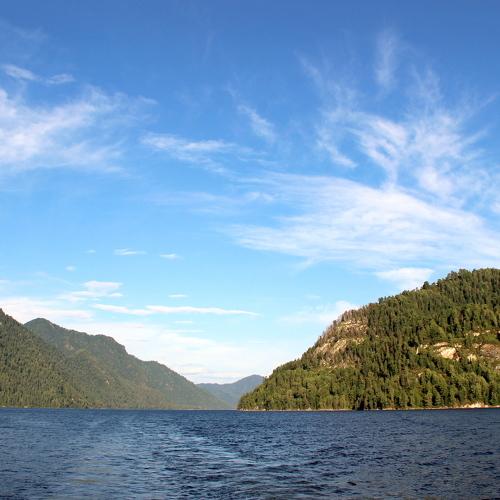 Photo #4996491