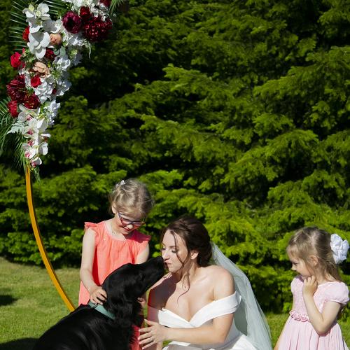 Photo #4997370