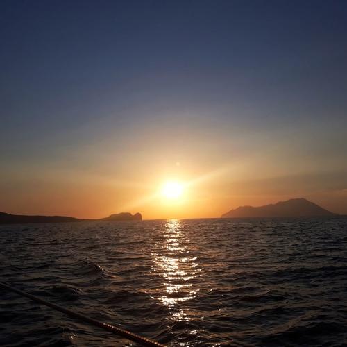 Photo #4997385