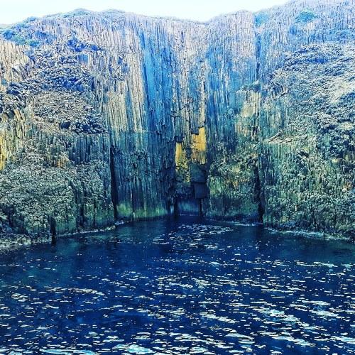 Photo #4997386