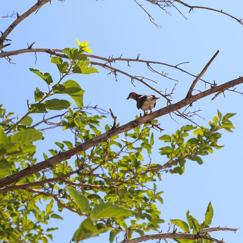 Photo #4997664