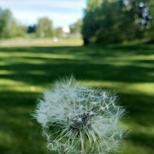 Photo #4997765
