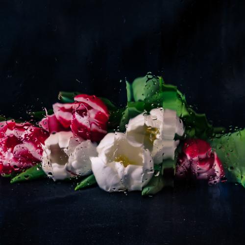 Photo #4997822