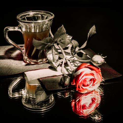 Photo #4997825