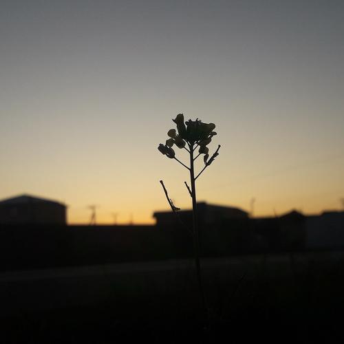 Photo #4997921