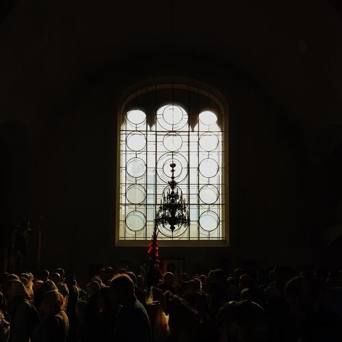 Photo #4998124