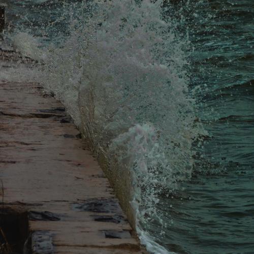 Photo #4998432