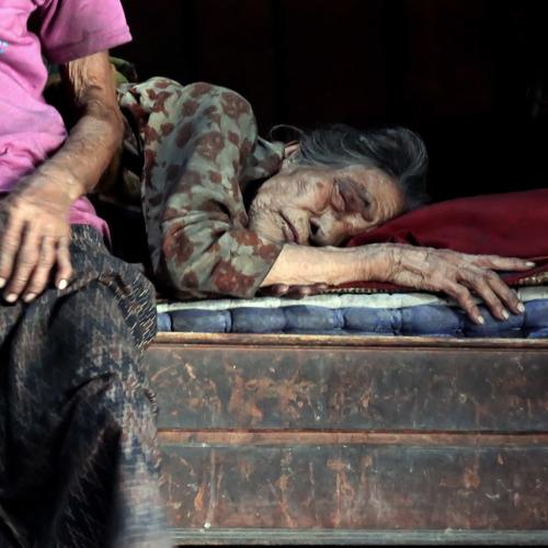 Photo #4998868