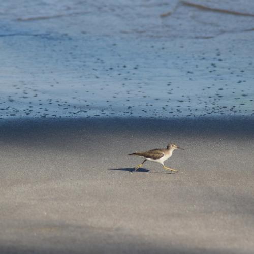 Photo #4998928