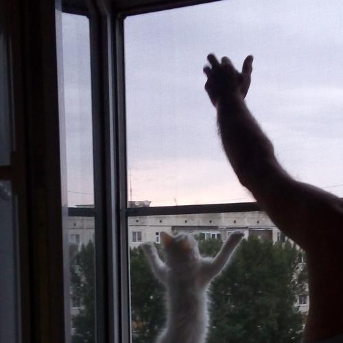 Photo #4999237