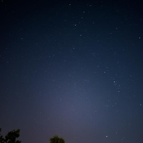 Photo #4999261