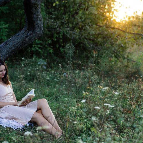 Photo #4999441
