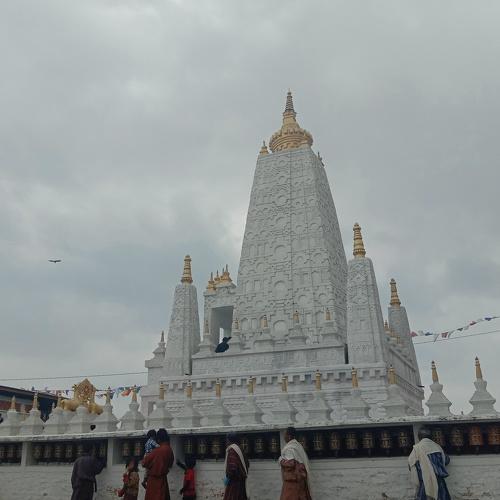 Photo #4999448
