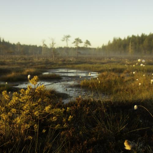 Photo #4999551