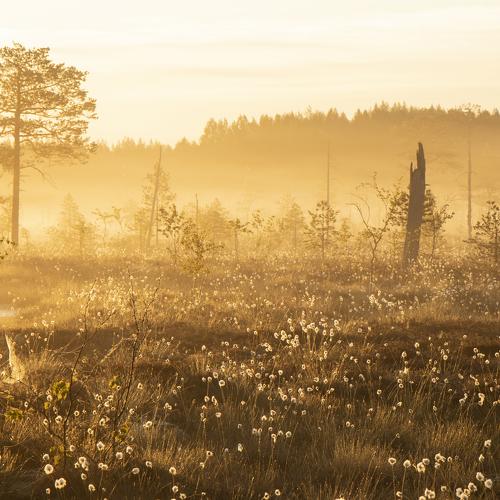 Photo #4999827