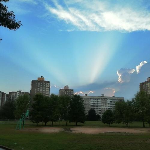 Photo #4999900